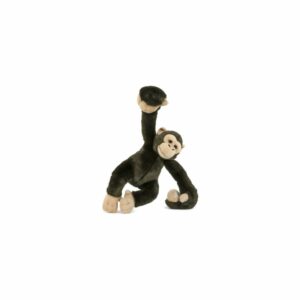 Acrobate Chimpanzé