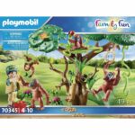 Orangs outans avec grand arbre