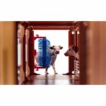 Ferme SIKUWORLD avec stickers