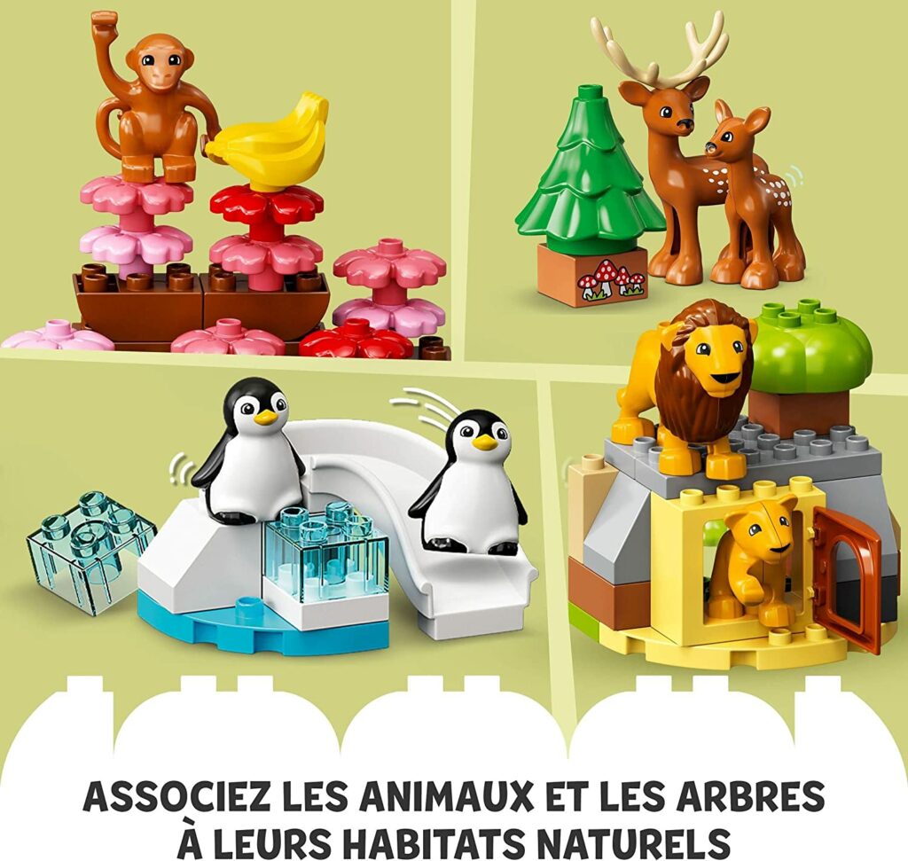 animaux sauvages monde duplo �?? Jardin d'enfants