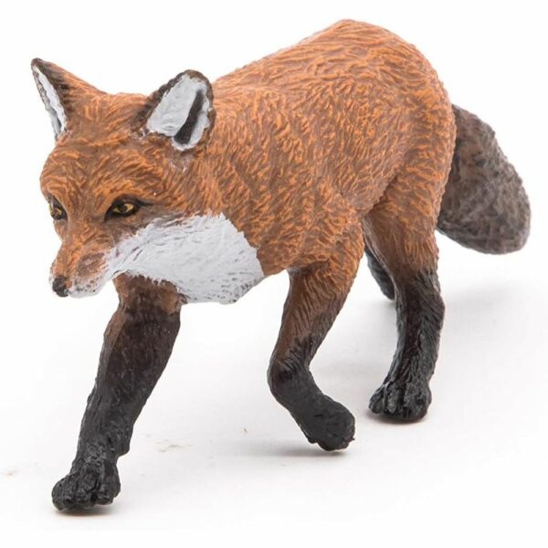 Renard