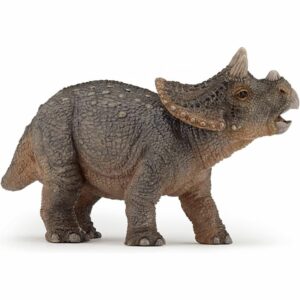 Bébé Triceratops