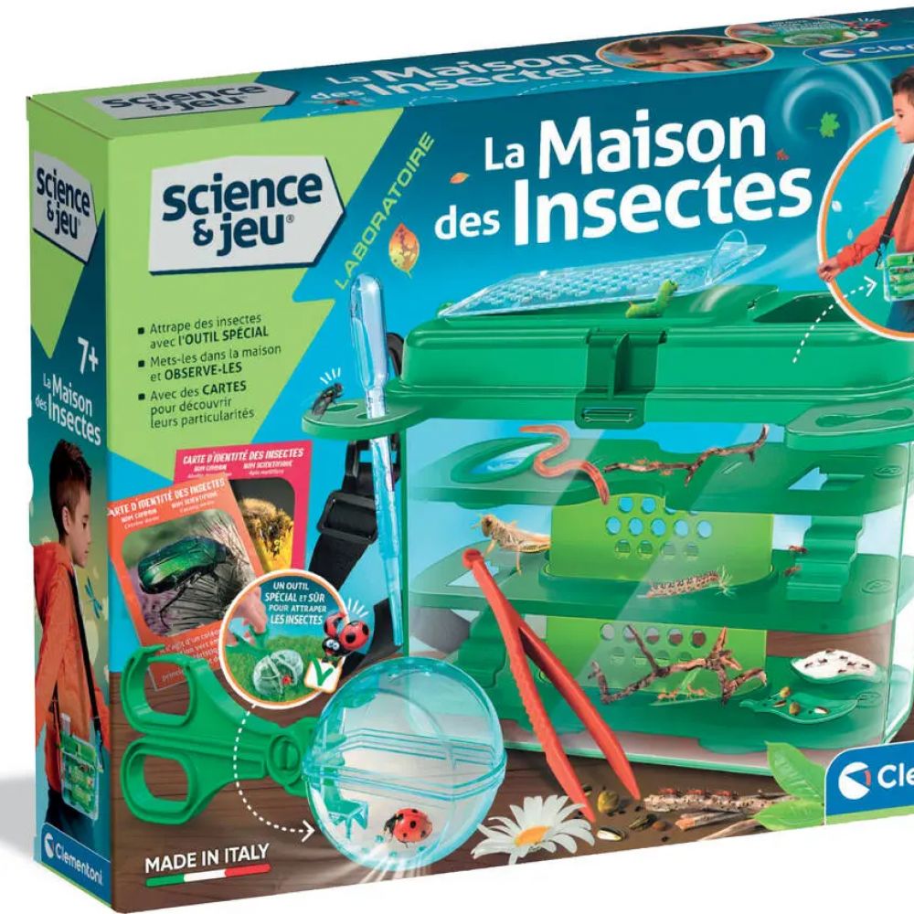 maison des insectes maison des insectes